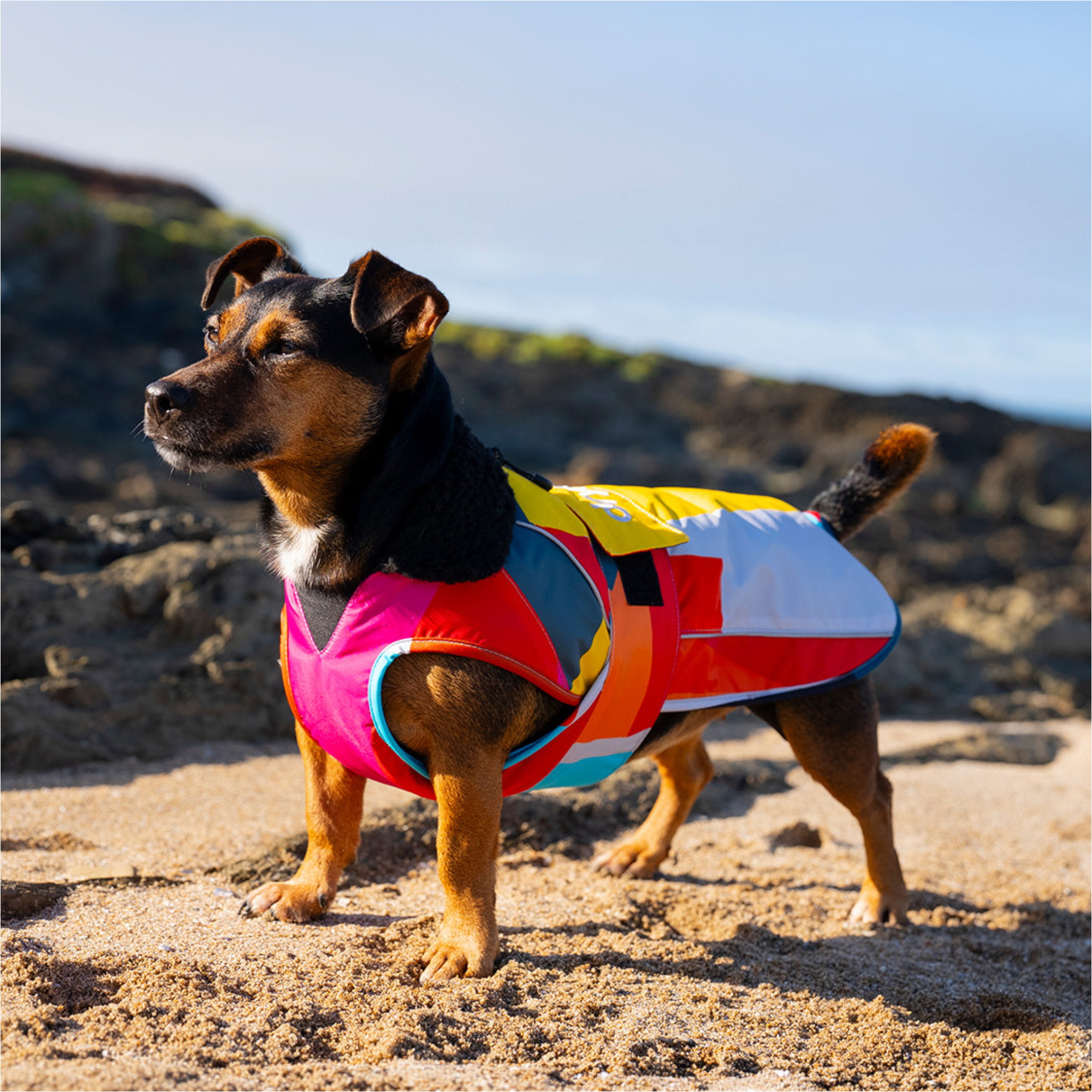 2026 Dryrobe Dog Coat V3DRDC - Abstract